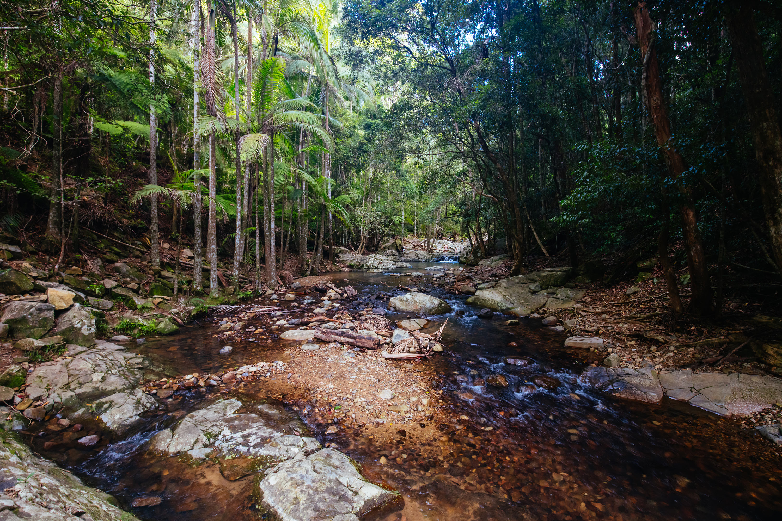 Currumbin