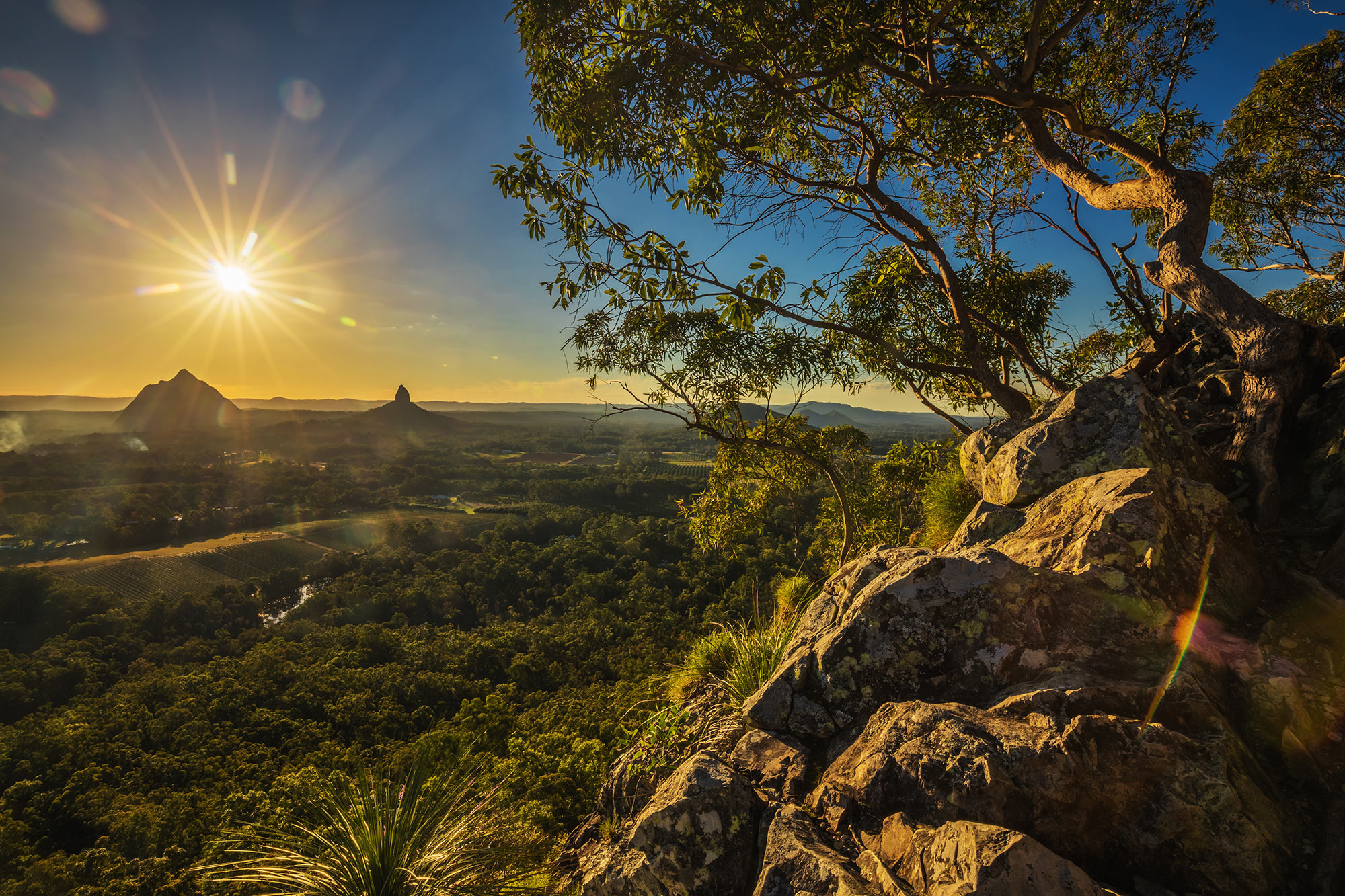 Living on the Queensland Sunshine Coast