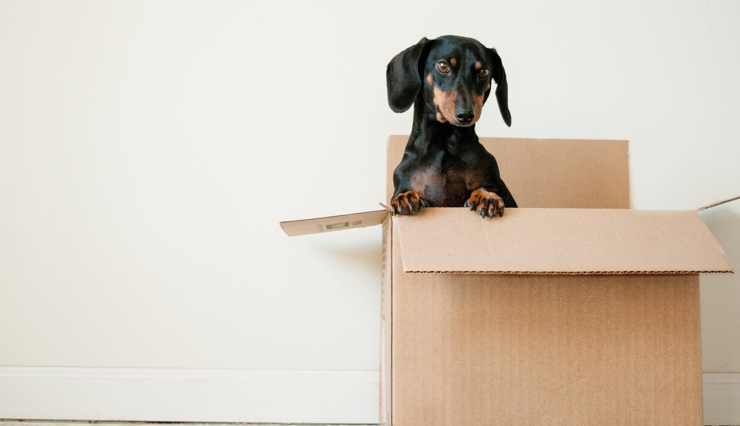 Checklist for moving into a new house