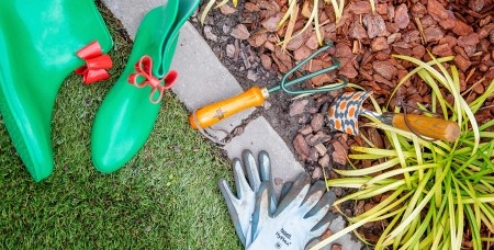 Spring Gardening Tips