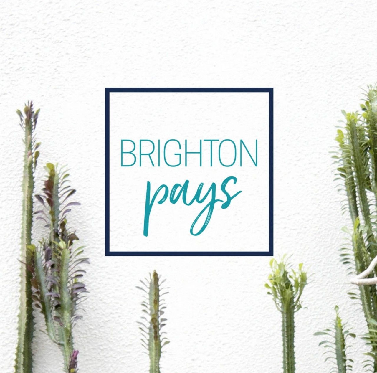 Brighton Pays Promo