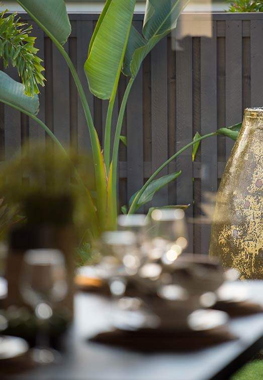 Helensvale Display Homes